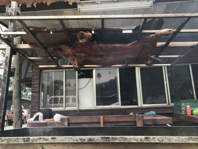 2022 04 30 46 茶山