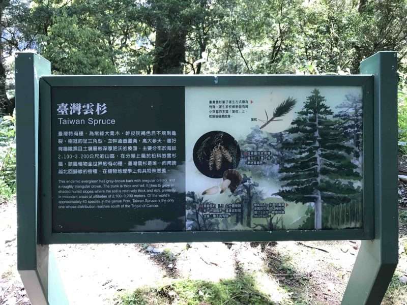 2022 05 06 03 南橫、三山