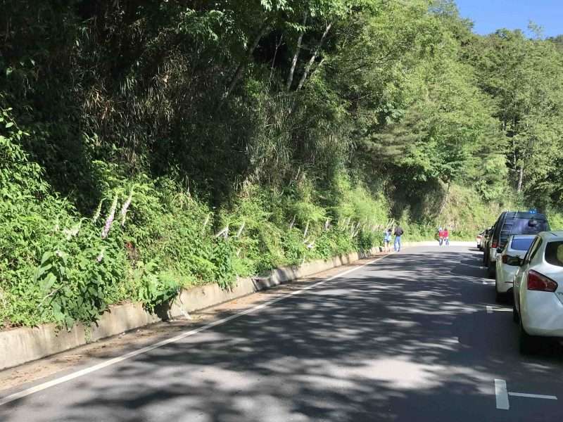 2022 05 06 03 南橫、天池