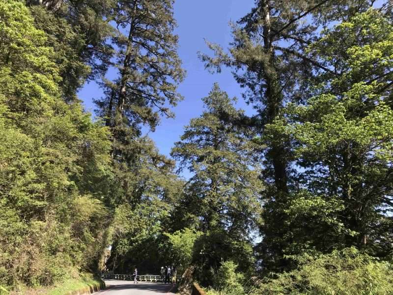 2022 05 06 06 南橫、檜谷