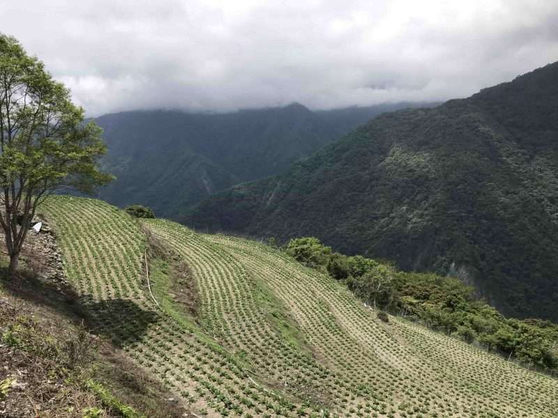 2022 05 06 07 南橫、摩天