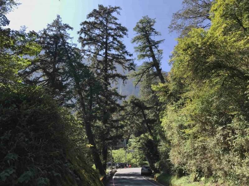 2022 05 06 07 南橫、檜谷