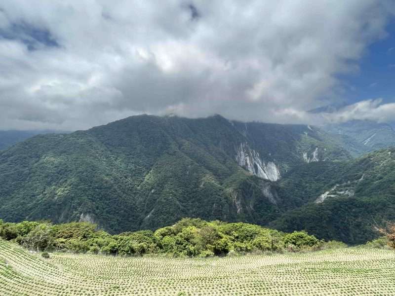 2022 05 06 08 南橫、摩天