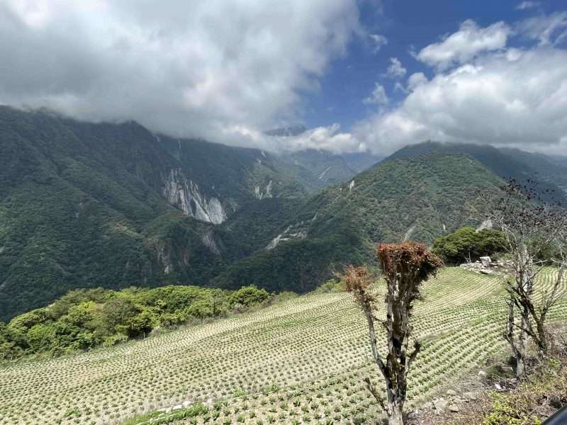 2022 05 06 09 南橫、摩天