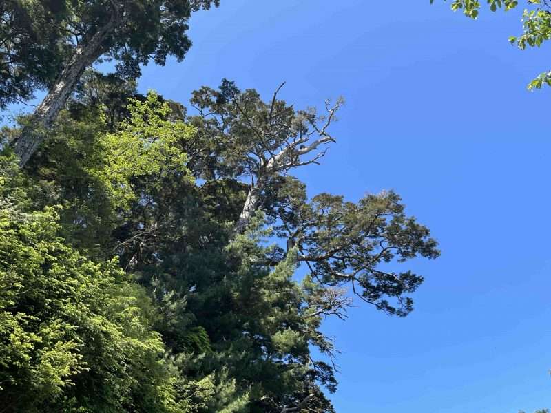 2022 05 06 12 南橫、三山