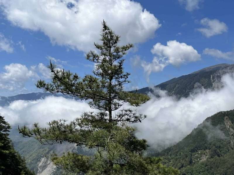 2022 05 06 12 南橫、埡口