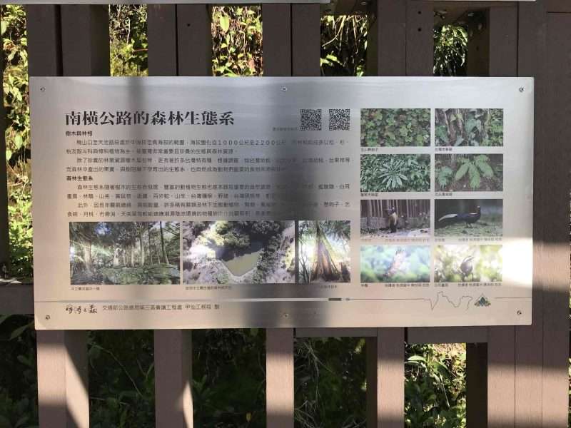 2022 05 06 14 南橫、天池