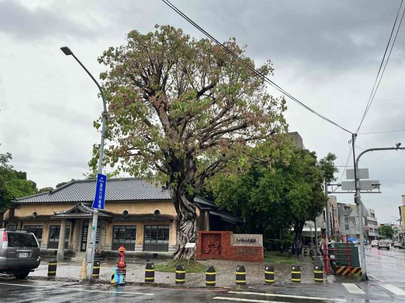 2022 05 14 05 南橫 新化