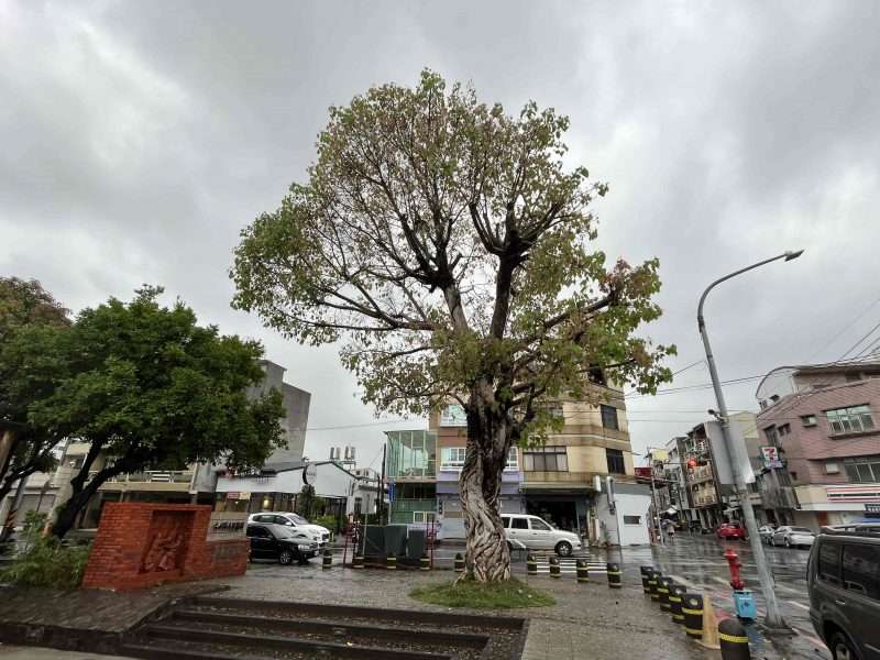 2022 05 14 42 南橫 新化