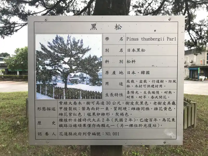 2022 06 17 10 萬榮