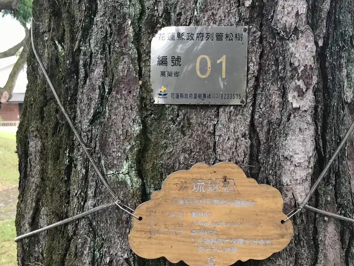 2022 06 17 11 萬榮