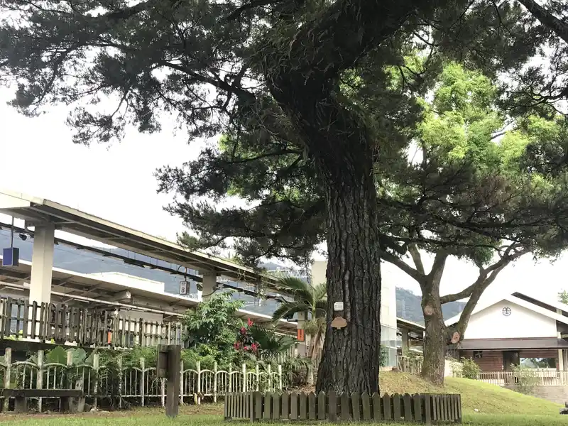 2022 06 17 13 萬榮