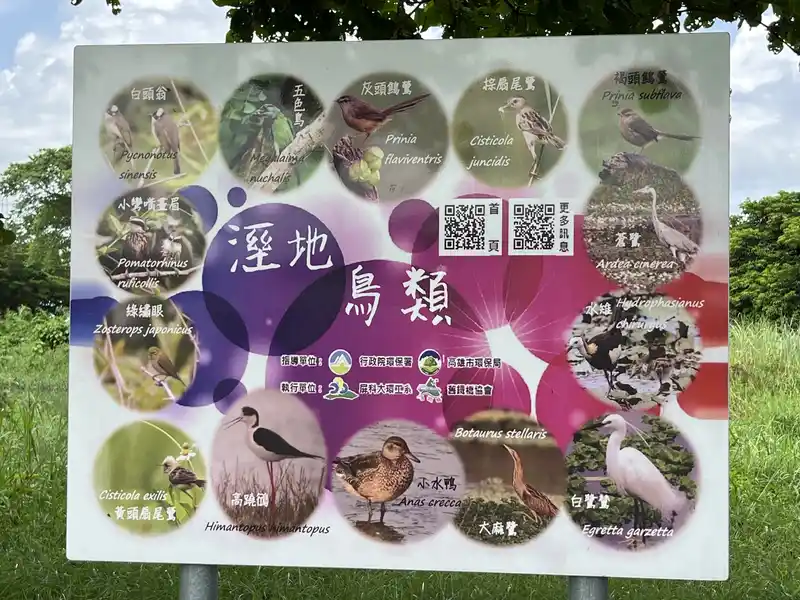 2022 07 16 17 舊鐵橋生態公園