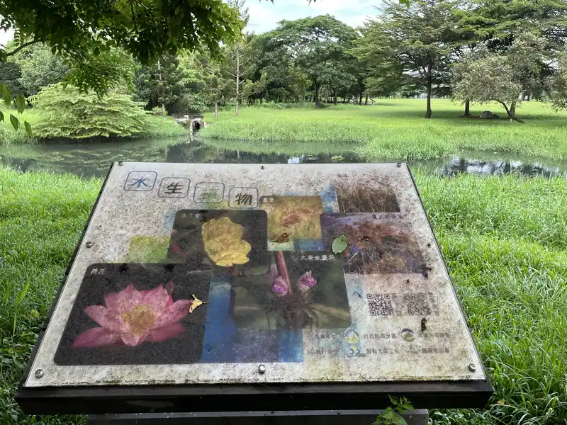 2022 07 16 41 舊鐵橋生態公園