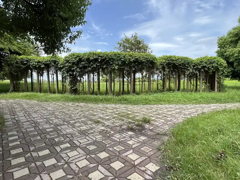 2022 07 16 78 舊鐵橋生態公園