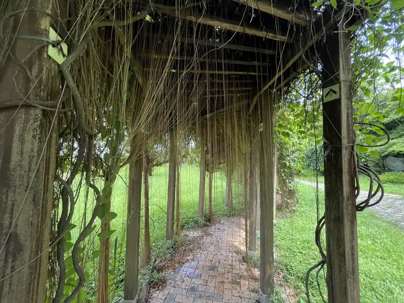 2022 07 16 79 舊鐵橋生態公園