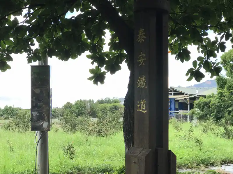 2022 07 30 06 泰安