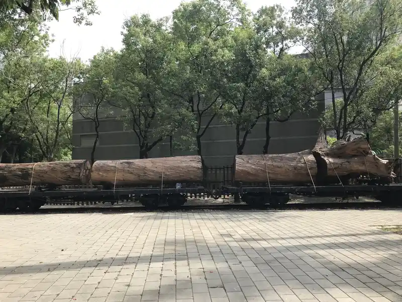 2022 10 15 30 嘉義製材所