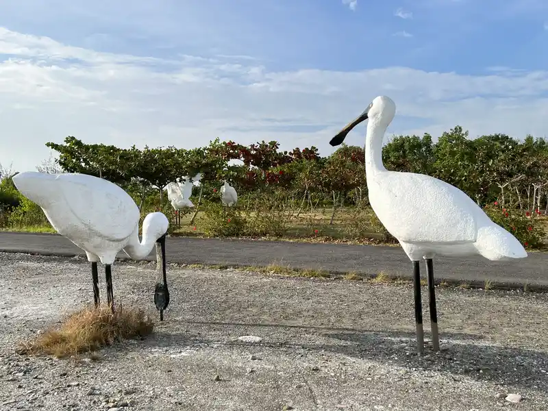 2022 10 15 34 七股鹽山