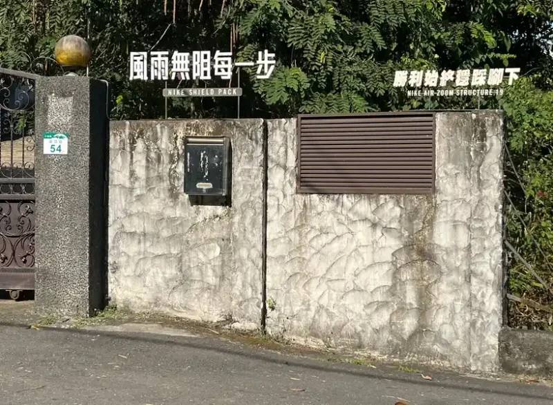 2022 11 19 01 大樹龍目 風雨無阻每一步