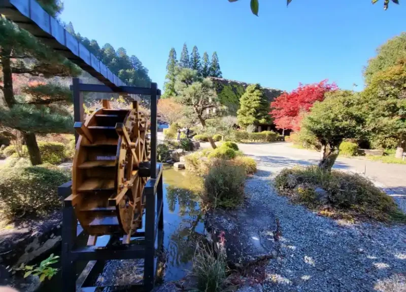 2022 11 22 06 黑部峽谷鐵道 11