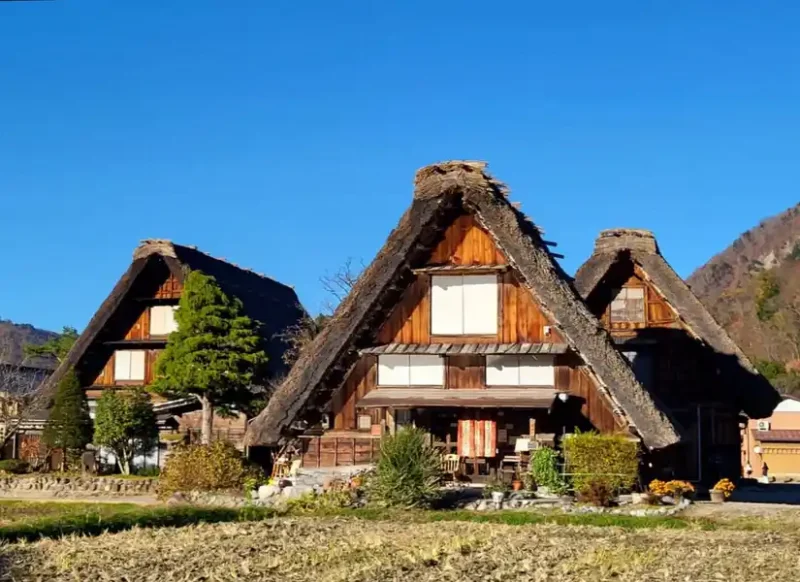 2022 11 22 10 黑部峽谷鐵道 15