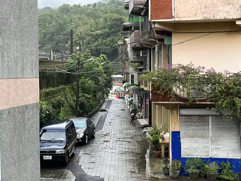 2022 12 15 09 牡丹