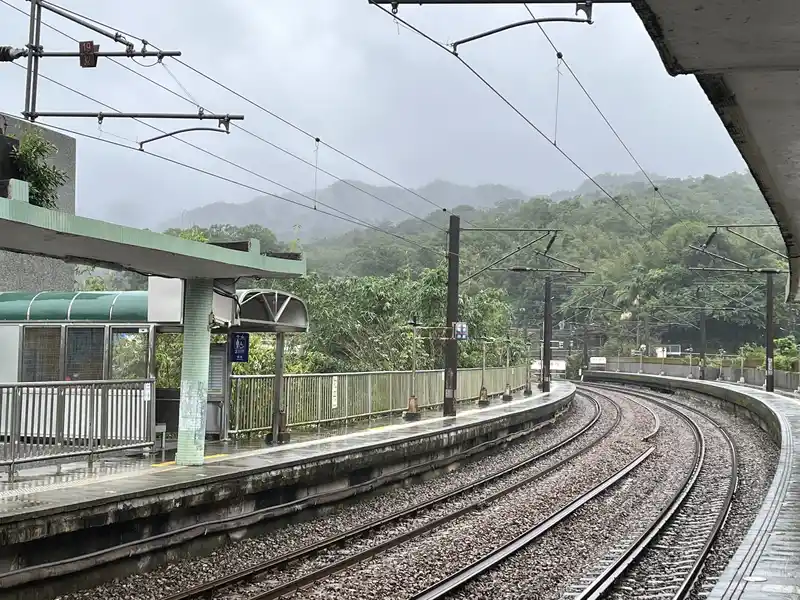 2022 12 15 14 牡丹