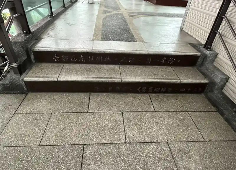 2022 12 16 23 南樹林