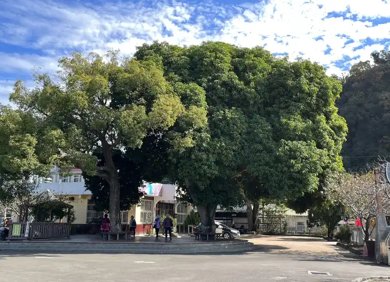 2022 12 31 12 泰安派出所