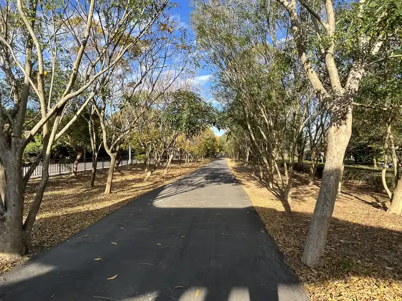 2022 12 31 52 神岡