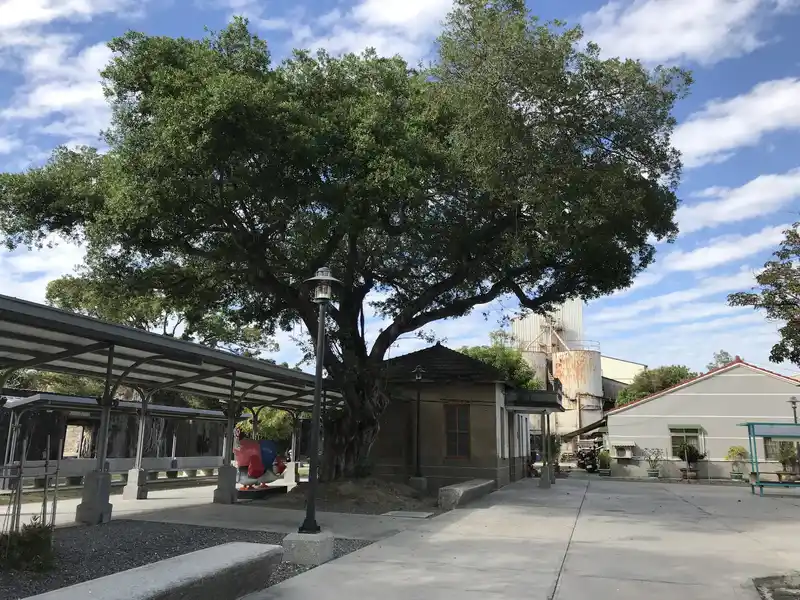 2023 01 14 13 鹽水