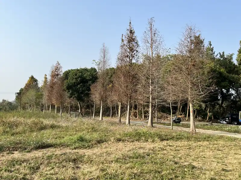 2023 03 04 10 古坑、湳子車站