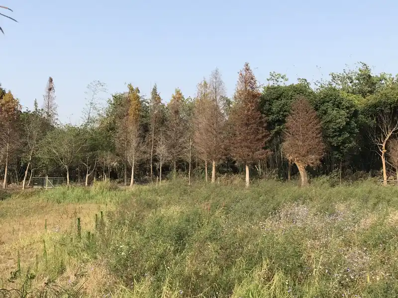 2023 03 04 11 古坑、湳子車站