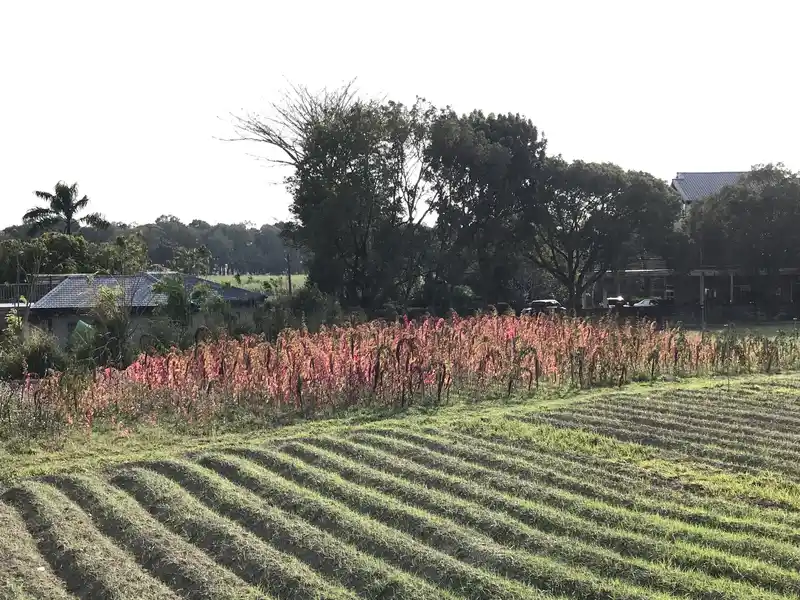 2023 03 04 14 古坑、湳子車站