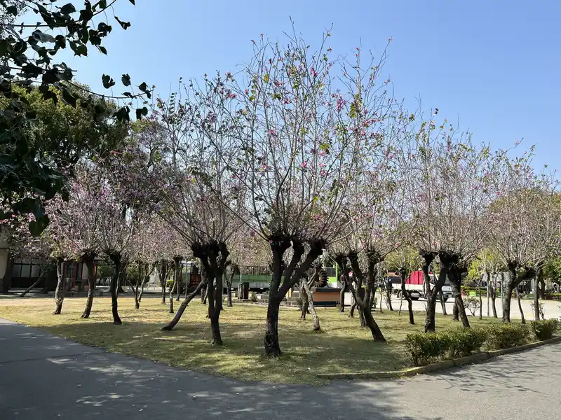 2023 03 04 64 溪湖、糖廠