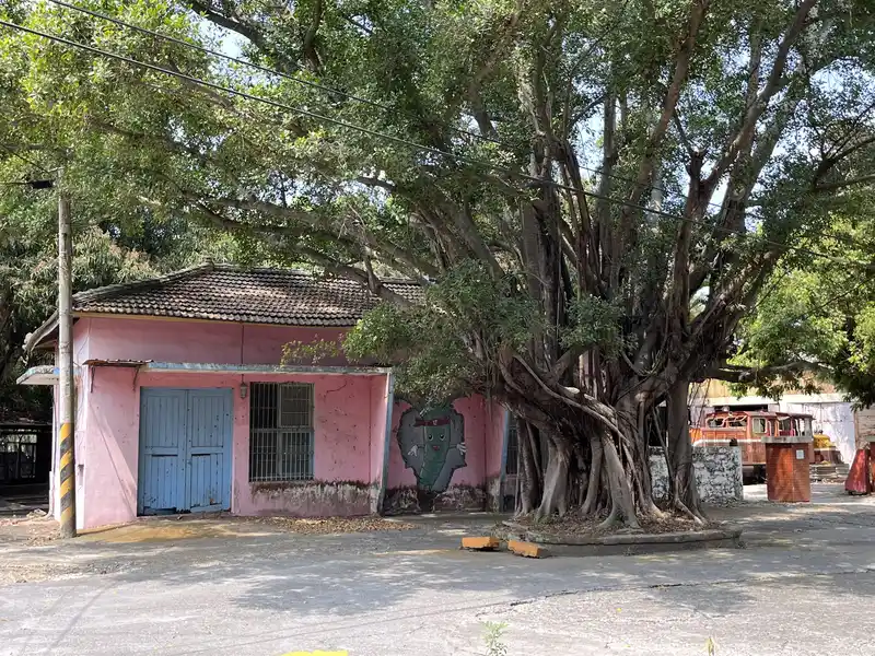 2023 03 12 06 烏樹林