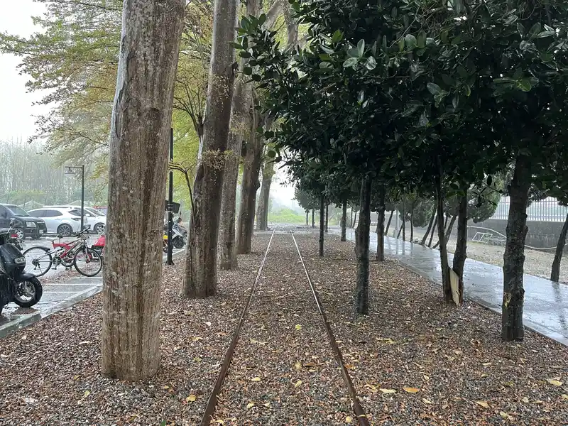 2023 04 01 04 石榴