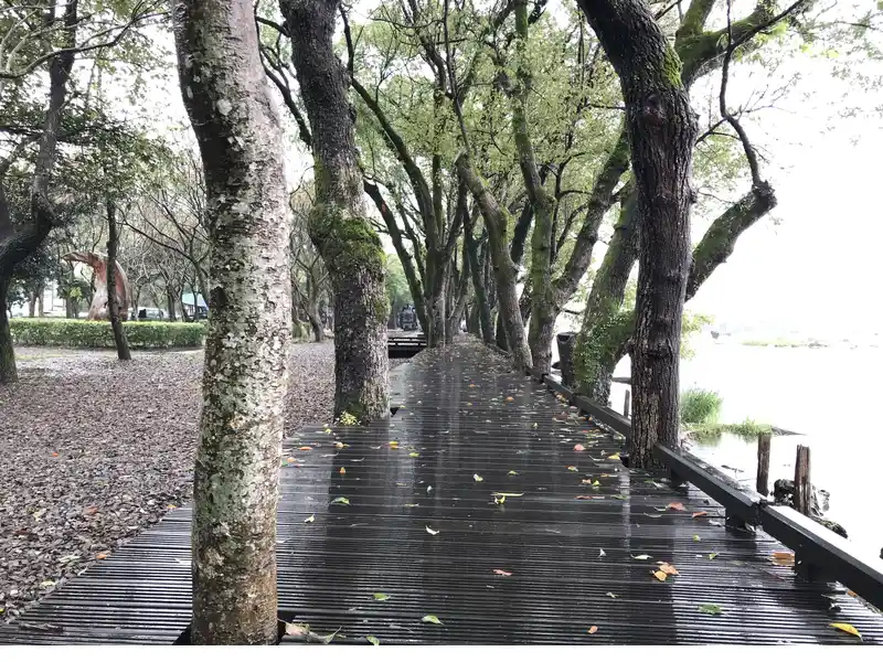 2022 12 15 38 林鐵館