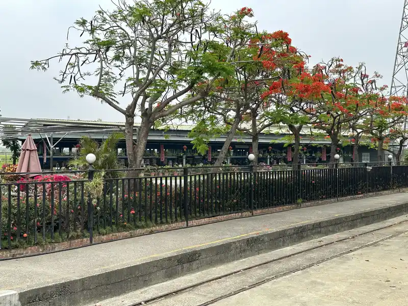 2023 05 10 12 八老爺