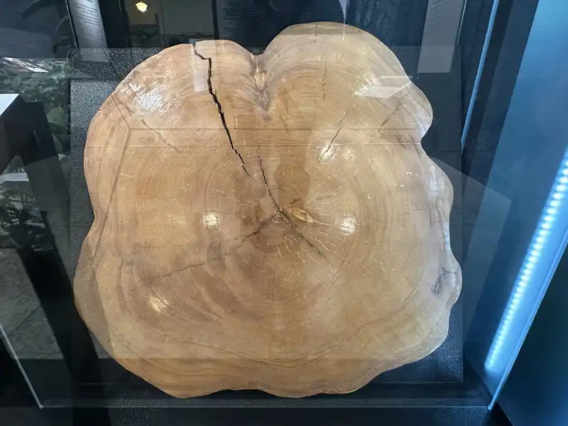 2023 06 15 248 臺灣博物館、鐵道部園區