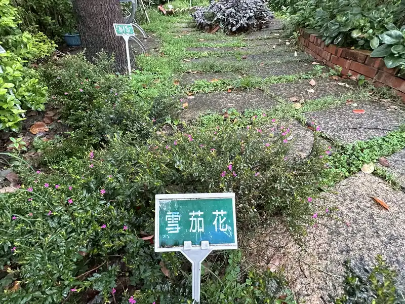 2023 06 17 32 萬華糖部文化園區