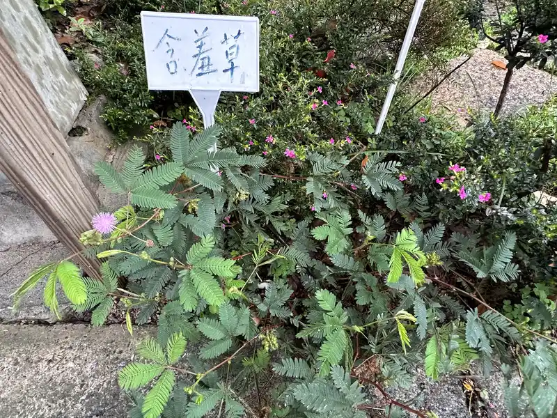 2023 06 17 33 萬華糖部文化園區