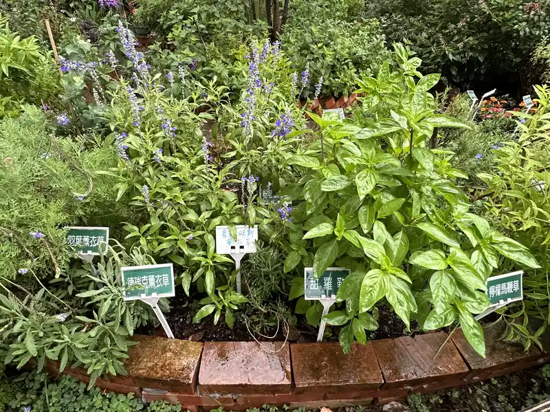 2023 06 17 34 萬華糖部文化園區