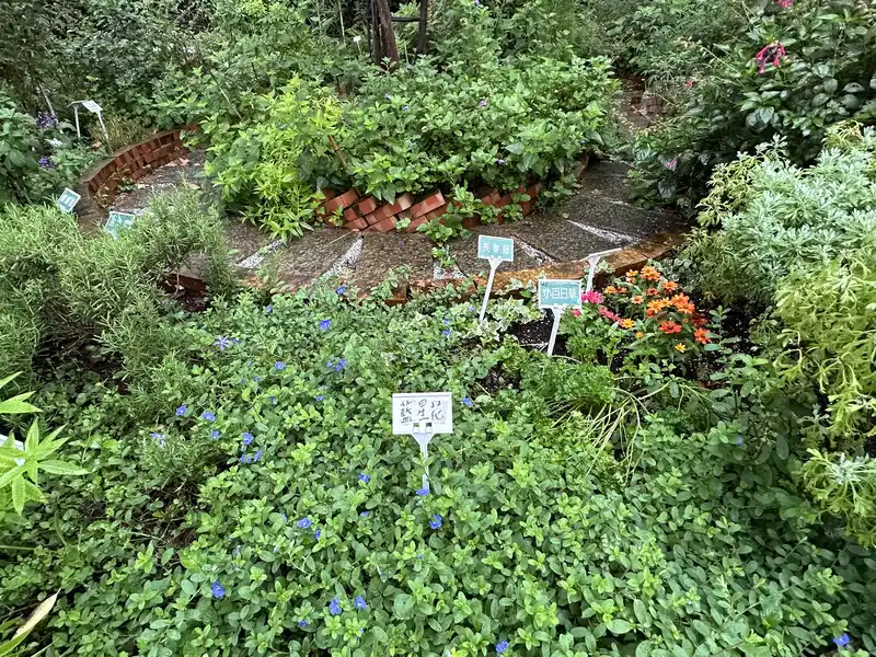 2023 06 17 36 萬華糖部文化園區