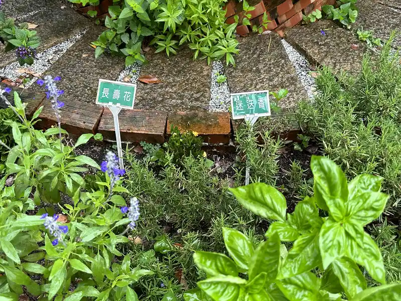 2023 06 17 37 萬華糖部文化園區