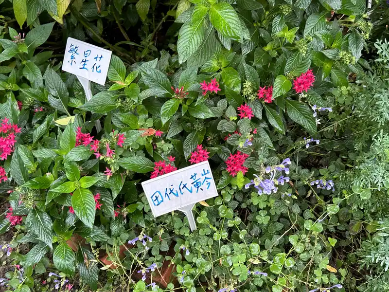 2023 06 17 38 萬華糖部文化園區