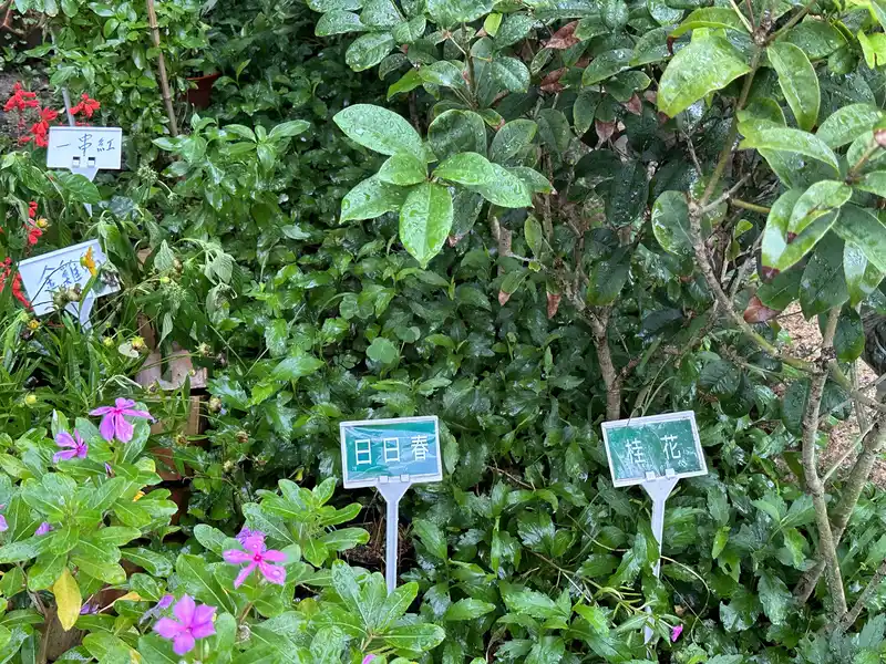 2023 06 17 40 萬華糖部文化園區