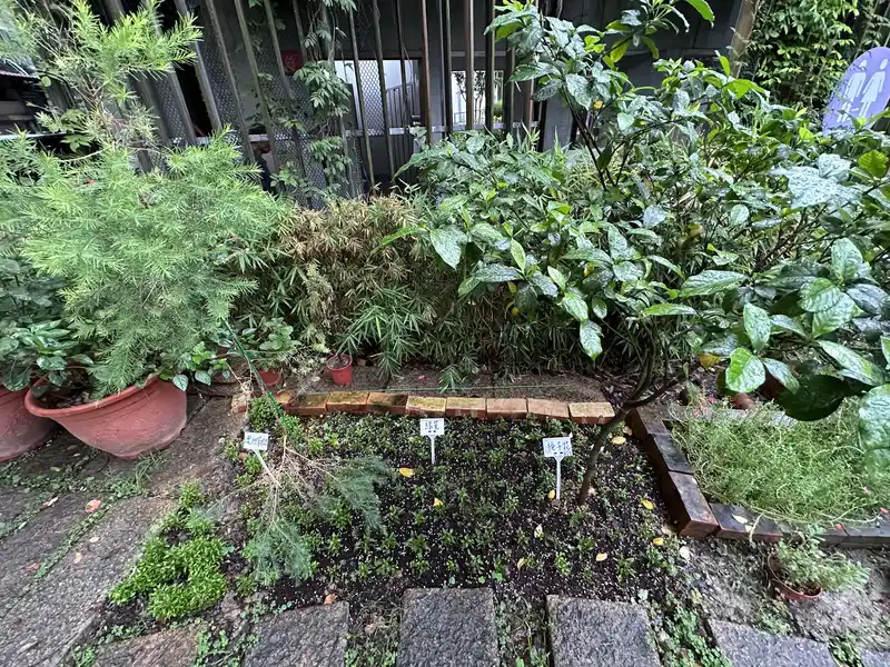 2023 06 17 48 萬華糖部文化園區