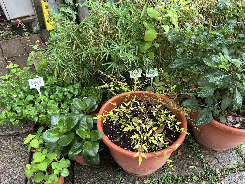 2023 06 17 49 萬華糖部文化園區